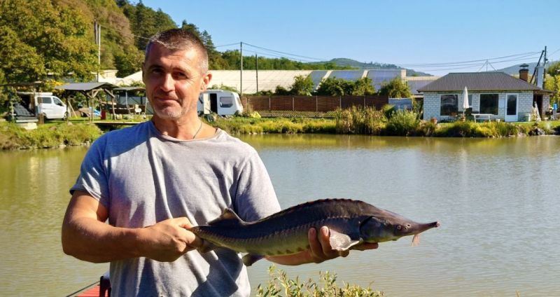 Зображення