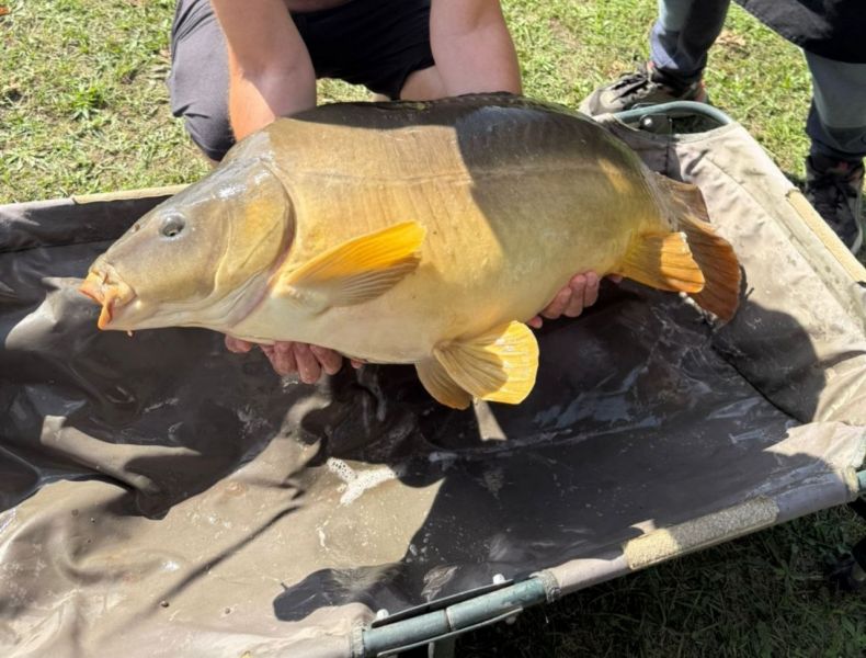 Зображення